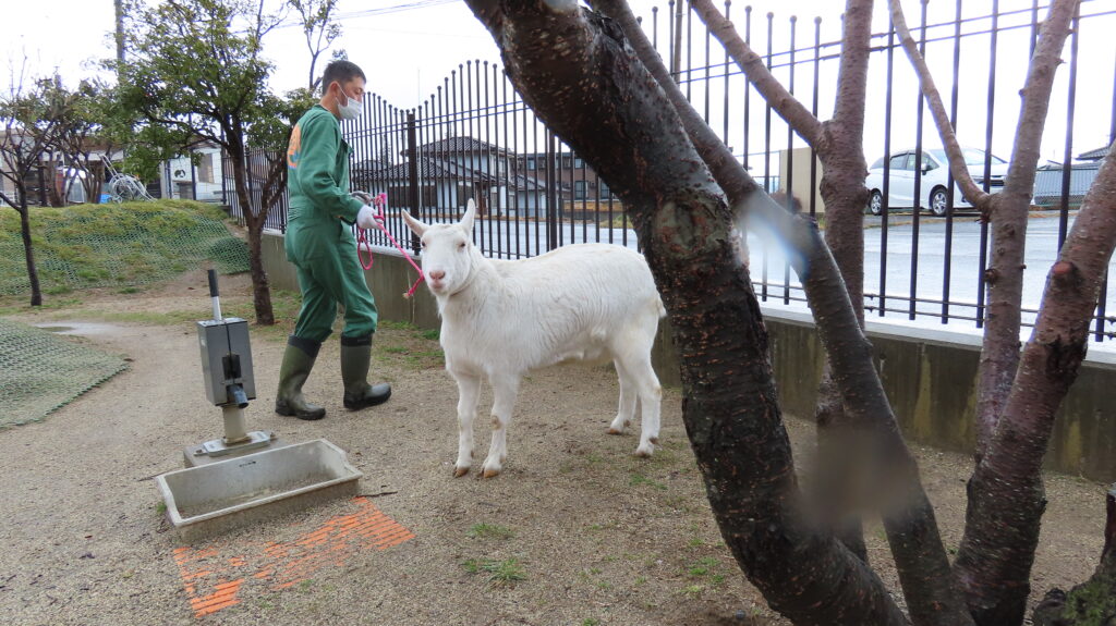イメージ画像: 教育施設における、適切な動物飼育をめざして