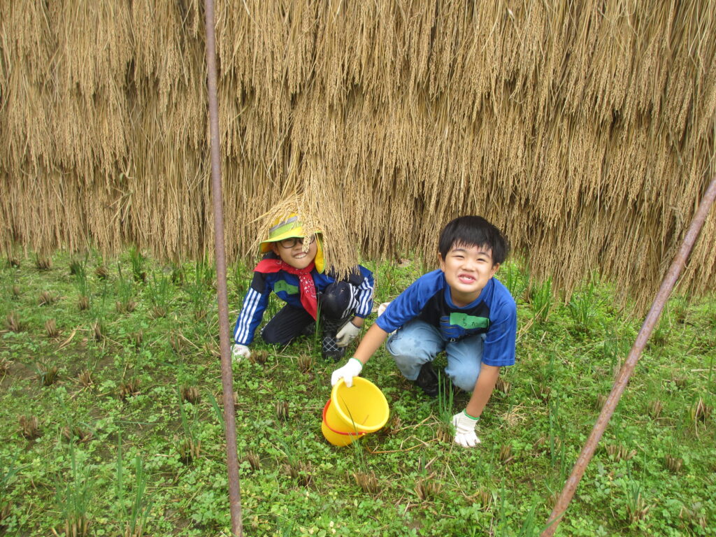 イメージ画像: 地域資源と自然エネルギーを活かした、体験型の交流拠点づくり